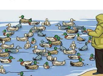 Αν μπορείτε να εντοπίσετε τι δεν πάει καλά σε αυτή τη φωτογραφία, είστε διάνοιες