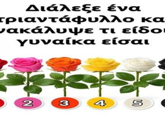 Διάλεξε ένα τριαντάφυλλο και ανακάλυψε τι είδους γυναίκα είσαι