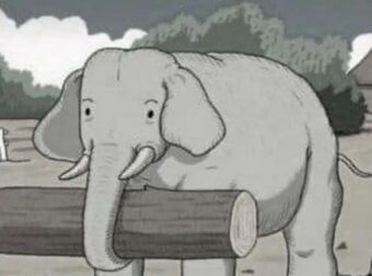 Μπορείτε να βρείτε το κρυμμένο άλογο; Δοκιμάστε αυτή την δύσκολη πρόκληση μέσα σε 7 δευτερόλεπτα