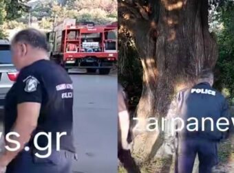 Μεγάλο θρίλερ στην Κρήτη: Βρέθηκε ανθρώπινος σκελετός – Εξετάζεται σύνδεση με εξαφάνιση 33χρονου γιατρού (βίντεο)