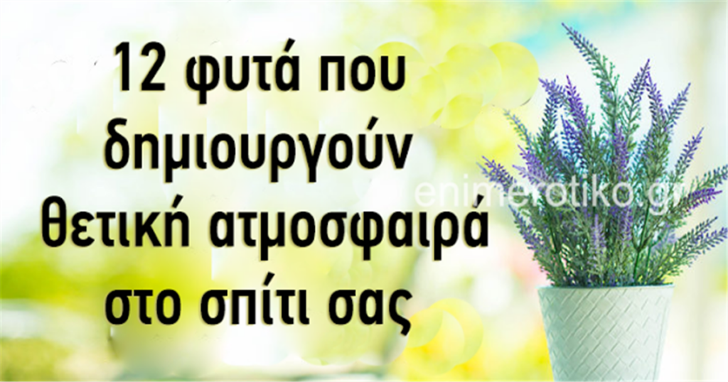 Τα συστήνουν όλοι οι Ειδικοί του Φενγκ Σούι: Τα Λουλούδια που που φέρνουν Καλή Τύχη και Θετική Ενέργεια στο Σπίτι σας
