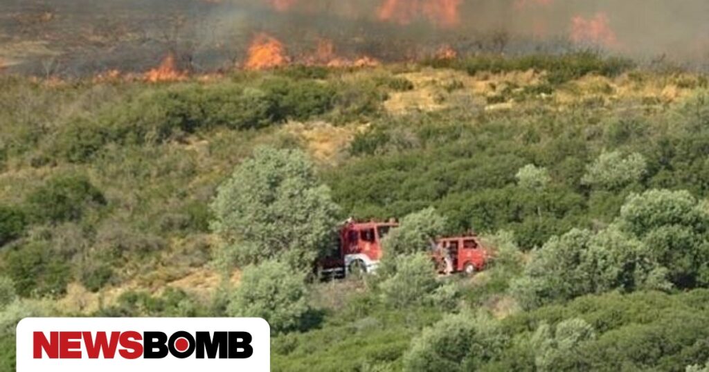 Φωτιά Σαλαμίνα; Συνελήφθη 49χρονος κατά την εκτέλεση εργασιών ηλεκτροσυγκόλλησης