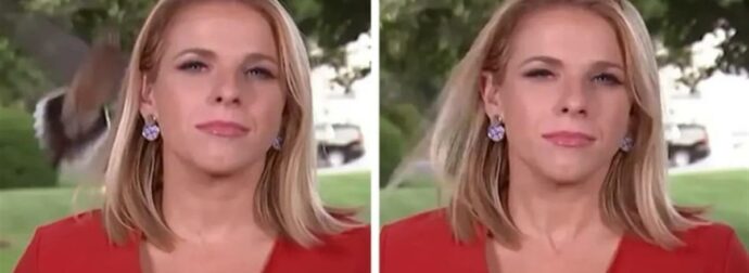 Παγκόσμιο viral: Πουλί προσγειώνεται στο κεφάλι ρεπόρτερ την ώρα που έβγαινε live έξω από τον Λευκό Οίκο (video)