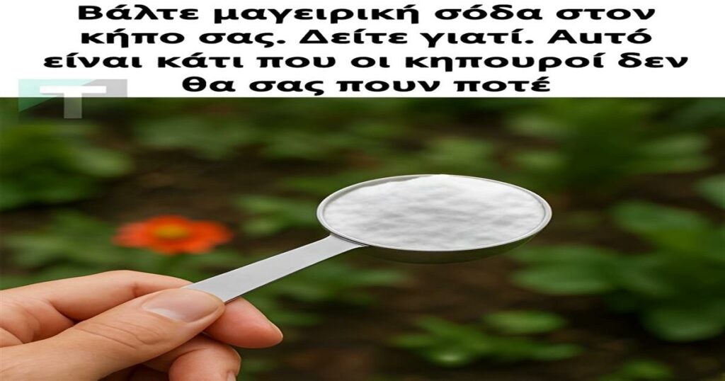 Βάλτε μαγειρική σόδα στον κήπο σας. Δείτε γιατί. Αuτό είναι κάτι που οι κηπουροί δεν θα σας πουν ποτέ