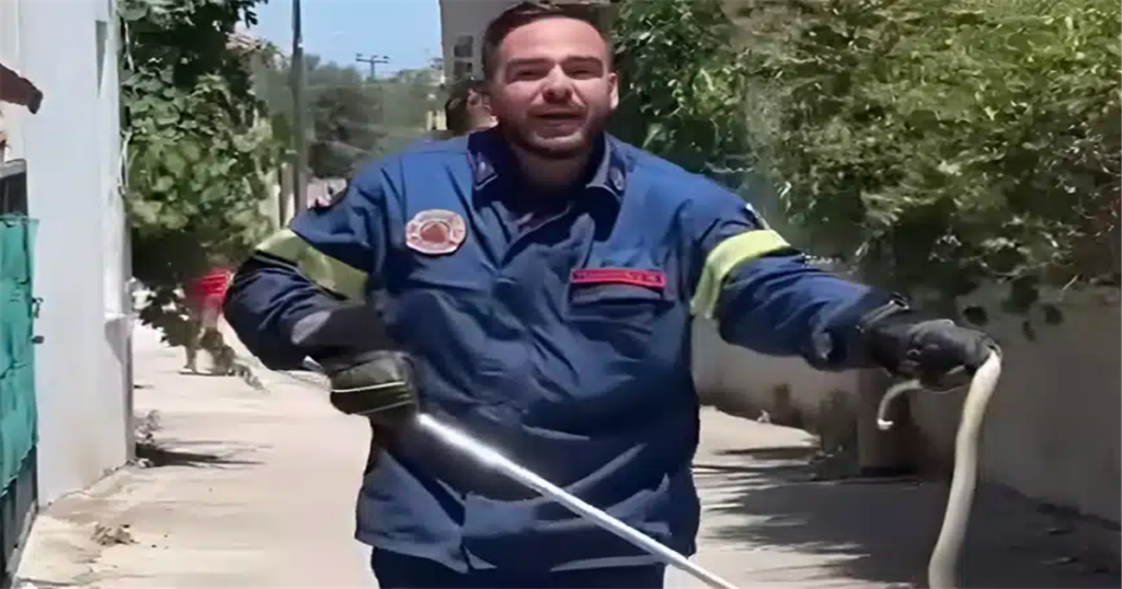 Viral πυροσβέστης στη Λέσβο πιάνει φίδι με σκούπα και ζητάει ένα «τσβαλ» να το βάλει μέσα