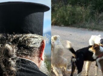 Παρολίγο τραγωδία στο Αγρίνιο: Αδέσποτοι σκύλοι επιτέθηκαν σε ιερέα – Μεταφέρθηκε στο νοσοκομείο