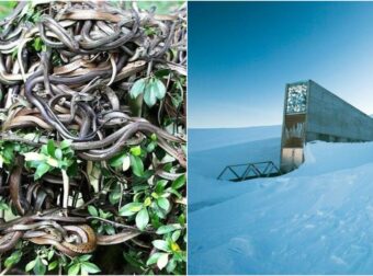 Μέρη στον κόσμο που έχει απαγορευτεί η είσοδος σε ΟΛΟΥΣ αυστηρά και δεν μιλάμε για στρατό