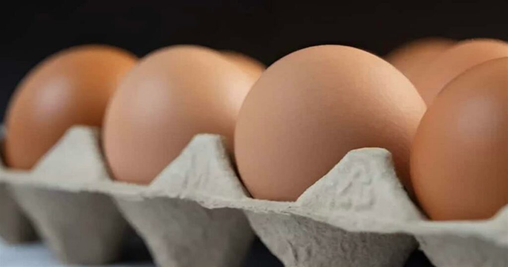 Το σκάνδαλο με τα ελληνικά αυγά – Οι καταναλωτές τα αγοράζουν και δεν παίρνουν χαμπάρι – Τι συμβαίνει