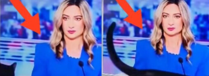 Viral η γάτα που έκοβε βόλτες στο στούντιο του ΣΚΑΙ