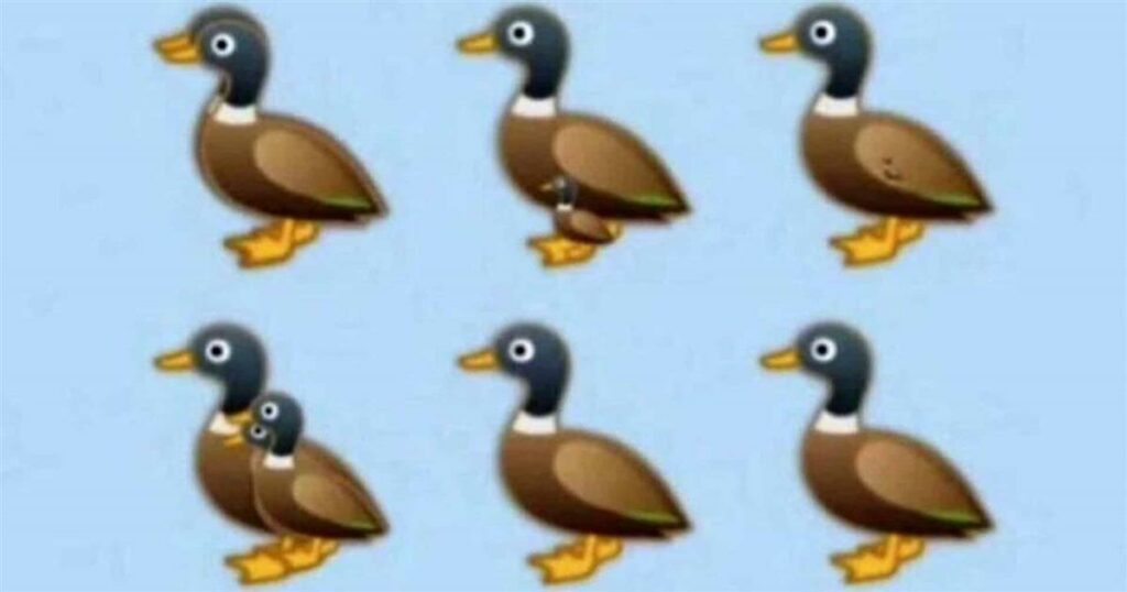 Βρείτε όλες τις πάπιες της εικόνας: Το τεστ παρατηρητικóτητας που ελάχιστοι απαντοúν σωστά