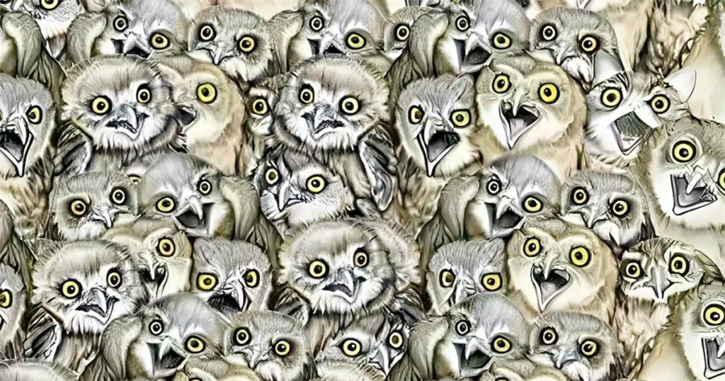 Βρες τη γάτα ανάμεσα στις κουκουβάγιες: Το τεστ παρατηρητικότητας που λίγοι λύνουν