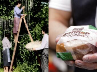 Πρωταπριλιά: Οι πιο απίθανες φάρσες που έγιναν ποτέ – Aπό το «μακαρονόδεντρο» μέχρι το μπέργκερ για… αριστερόχειρες