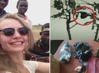 Υπόθεση Κοέτσιερ: Η εξαφάνιση της 21χρονης Ολλανδής και το ανδρικό DNA που καταρρίπτει το σενάριο της επίθεσης από ζώα