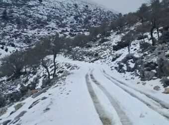 Ψυχρή εισβολή από την Αρκτική απειλεί την Ελλάδα – Κίνδυνος παγετού και ζημιών στην αγροτική παραγωγή