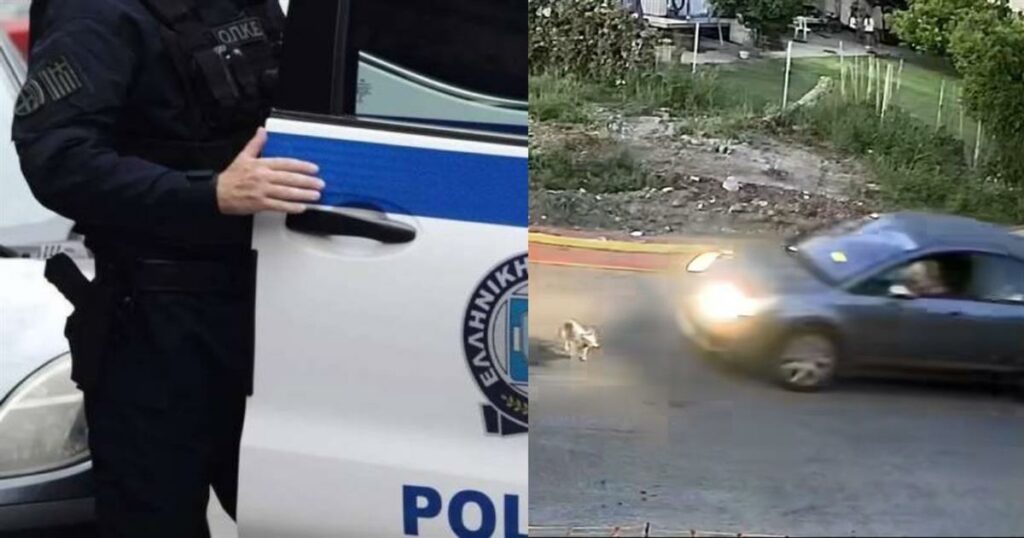 Έσπασε την σιωπή της η οδηγός στην Γαστούνη:«Φοβήθηκα και έφυγα» – Όσα δήλωσε στους αστυνομικούς η 60χρονη