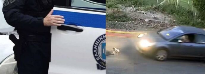 Γαστούνη: Γιατί πάτησε τον σκύλο η 60χρονη – Όσα υποστήριξε στην απολογία της