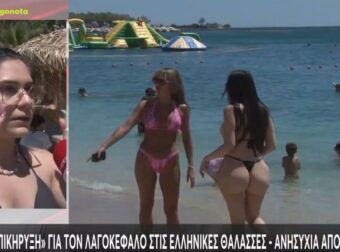 Νέα επίθεση: Λαγοκέφαλος επιτέθηκε σε δύο λουόμενους και τους έστειλε στο νοσοκομείο (video)