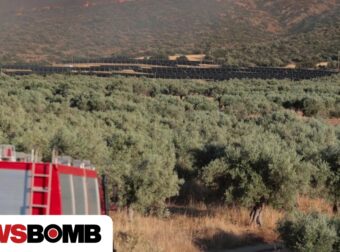 Φωτιά Βοιωτία: Γιατί καίγεται ο τόπος  και δεν σηκώνεται ούτε ένα εναέριό; Τι απαντά η πυροσβεστική###