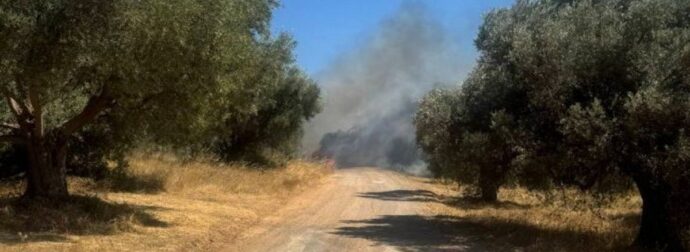 Φωτιά στα Σπάτα: Νεκρός βρέθηκε οδηγός μέσα στο αυτοκίνητό του###